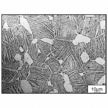 In Situ Metallography in Nashik