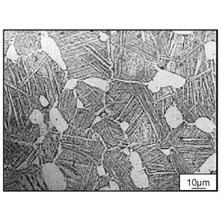On-Site Metallography Services in Nashik